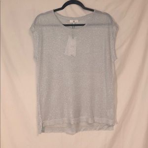 ♥️ WITH TAGS CKS Metallic Silver Short Slv Sweater